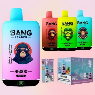 Bang Leader 45000 Puffs | TOTOVAPE