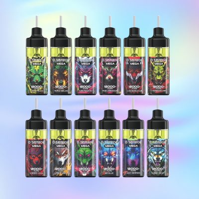 Tastefog Mega 12000 Puffs | TOTOVAPE