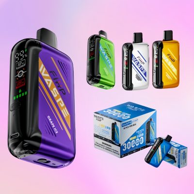 Waspe FW 30000 Puffs | TOTOVAPE