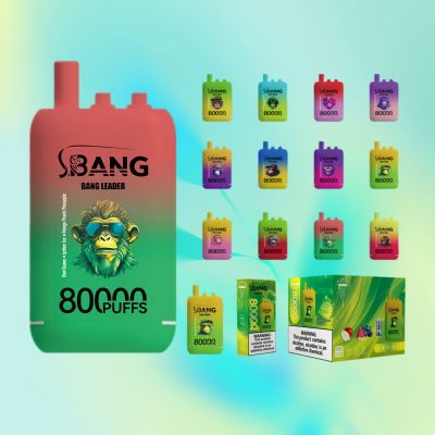 Bang Leader 80000 Puffs | TOTOVAPE Bang Leader 80000 Puffs | TOTOVAPE