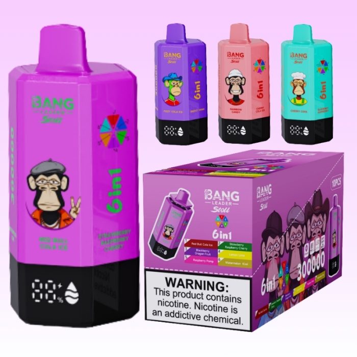 Bang Leader 300k Puffs | TOTOVAPE