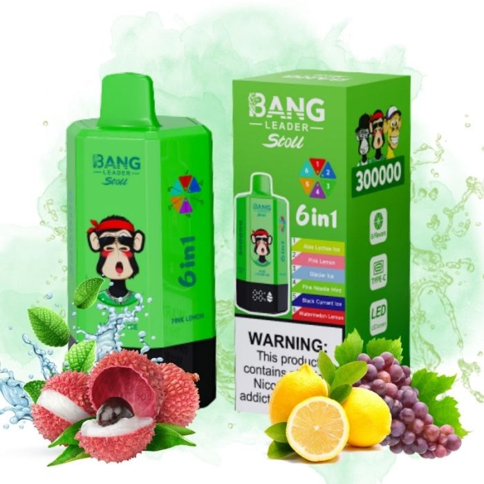 Bang Leader 300k Puffs | TOTOVAPE